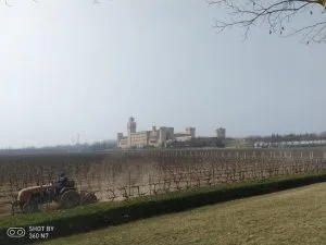 陝西 張裕瑞那酒堡