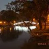 台中 - 台中公園 夜景
