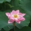 廣州四日遊