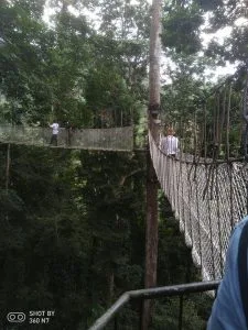 Yunnan, Xishuangbanna — Wangtianshu Tropical Rainforest Area