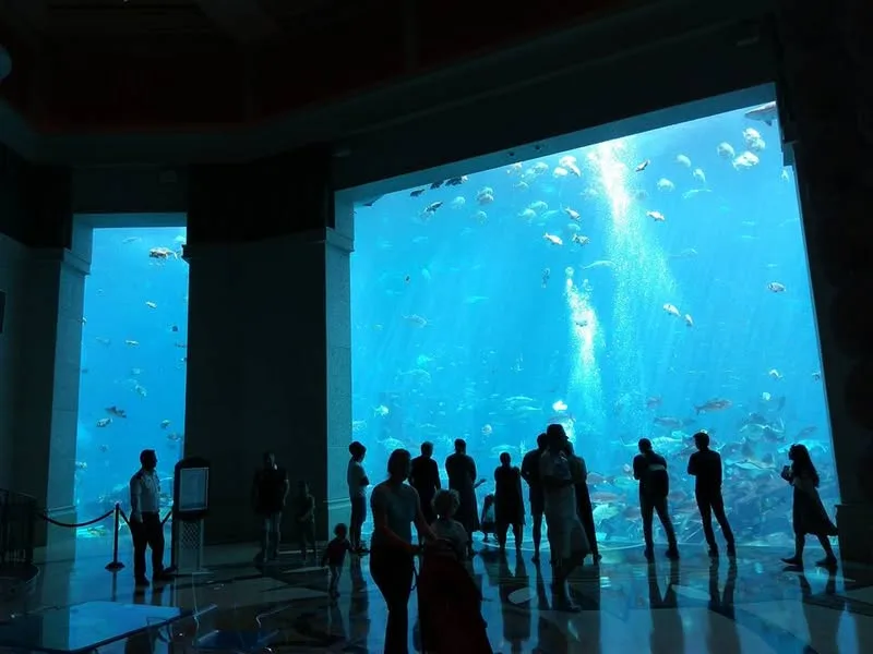 杜拜 (Dubai)