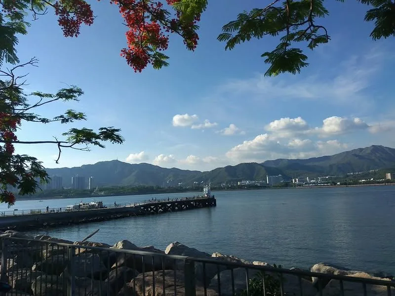 香港 白石角 海濱長廊