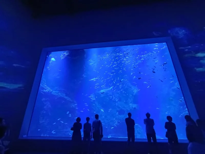 台中 清水 台中海洋館