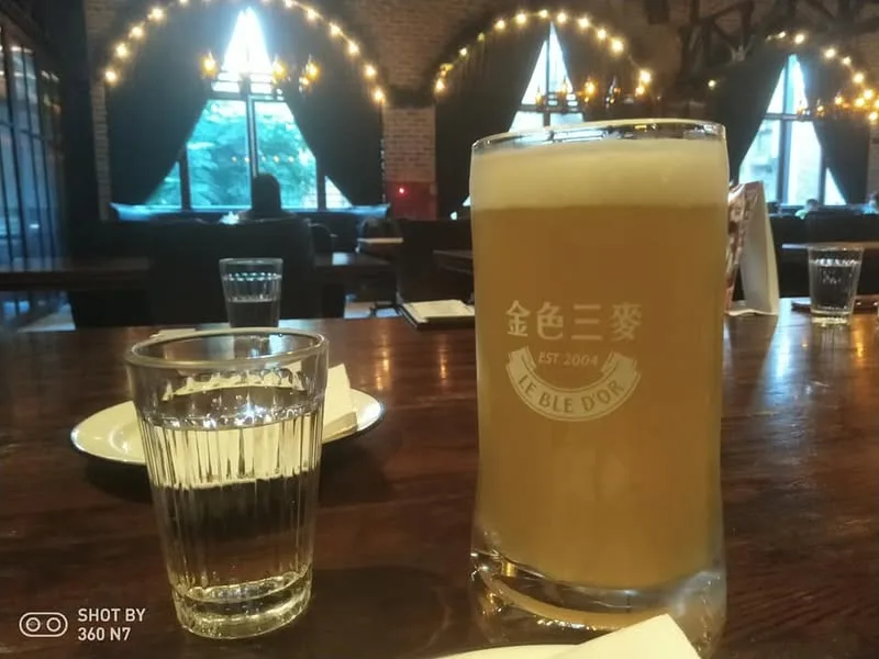 台灣真小 N+14