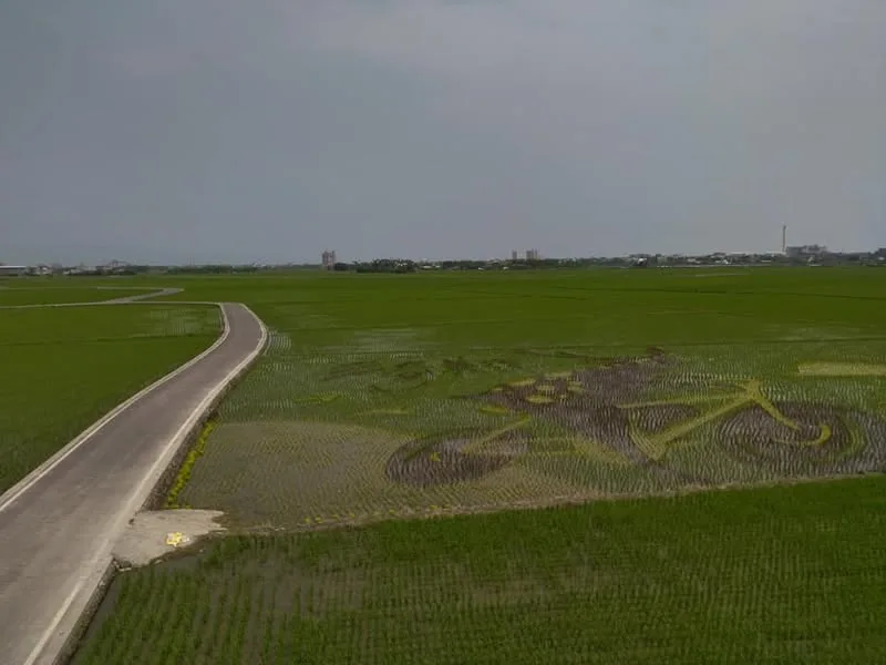 宜蘭 冬山 伯朗大道