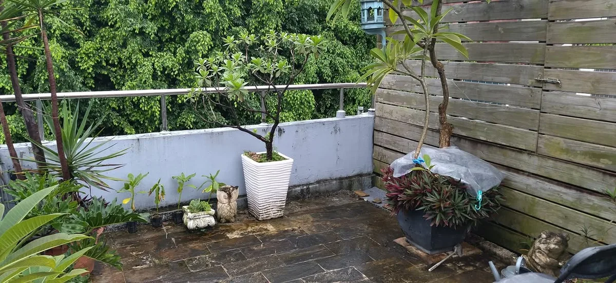 台北 逸仙路 王鍋屋 京都酸白菜鍋專門店