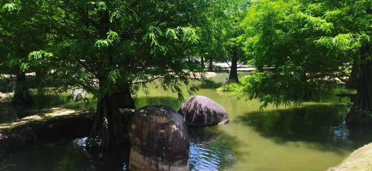 雲林 虎尾