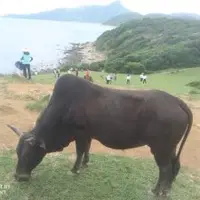 Morgan香港生活記事6 - 塔門島 1