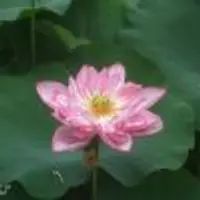 廣州四日遊
