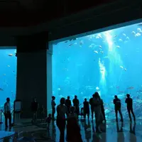 杜拜 (Dubai)
