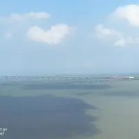 珠海 大隱茶樓