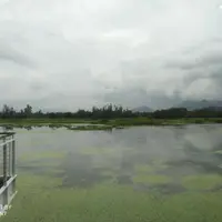 香港 濕地公園
