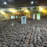 廣東 河源市