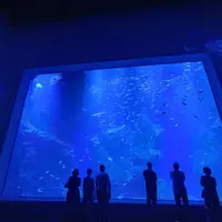 台中 清水 台中海洋館、天津路 小山西館