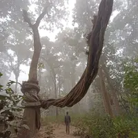 尼泊爾 奇特旺國家公園
