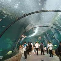 雲南 西雙版納