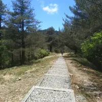 台中 大雪山 國家森林遊樂區