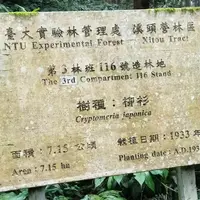 南投 溪頭風景區