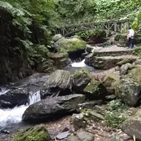 鹿茸藥酒 3