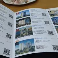 越南 達桑地產 (Dat Xanh) 簡報