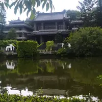 台中 金麗都 4