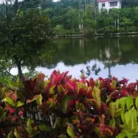 台中 金麗都 5