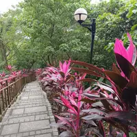 台北 松山區 芳朵麻辣鍋 2