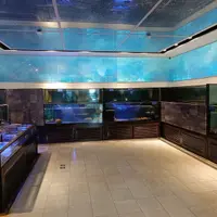 台北 復興南路 真的好海鮮餐廳 6